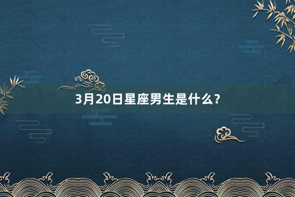 3月20日星座男生是什么？